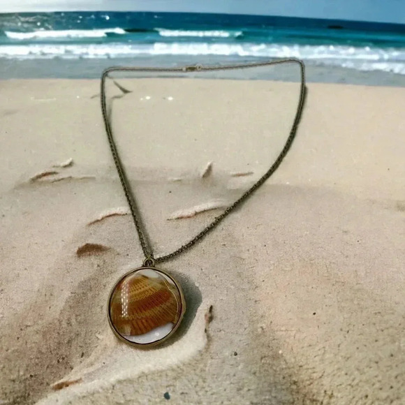 Seashells by the Seashore Cockle Shell Resin Statement Necklace Bronze Chain 22" - Picture 1 of 5